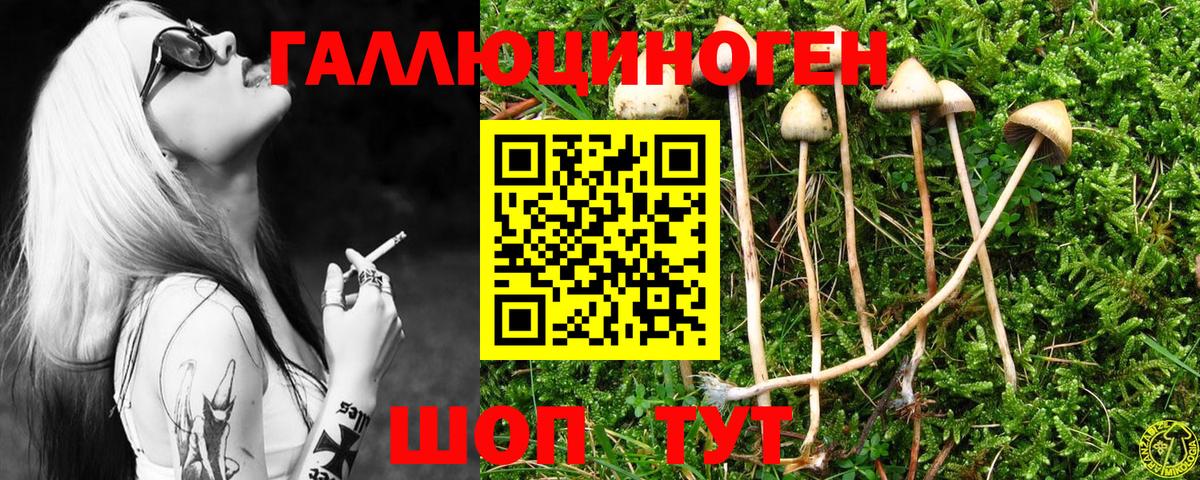 Галлюциногенные грибы ЛСД Саров