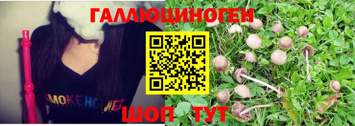 Псилоцибиновые грибы Magic Shrooms  Вход с VPN  Галлюциногенные грибы GOLDEN TEACHER  Саров 